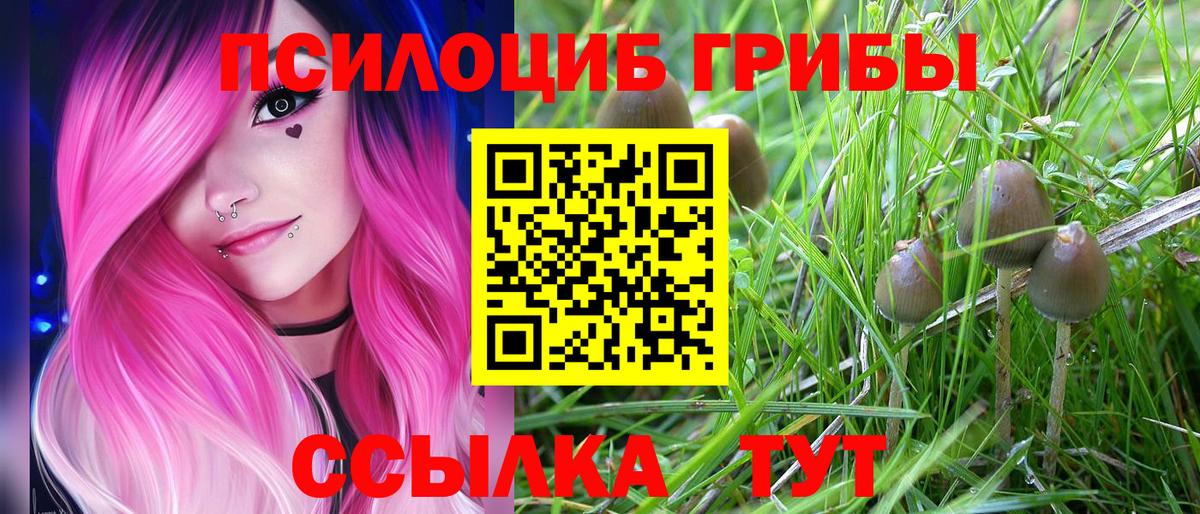 Псилоцибиновые грибы мухоморы Скопин