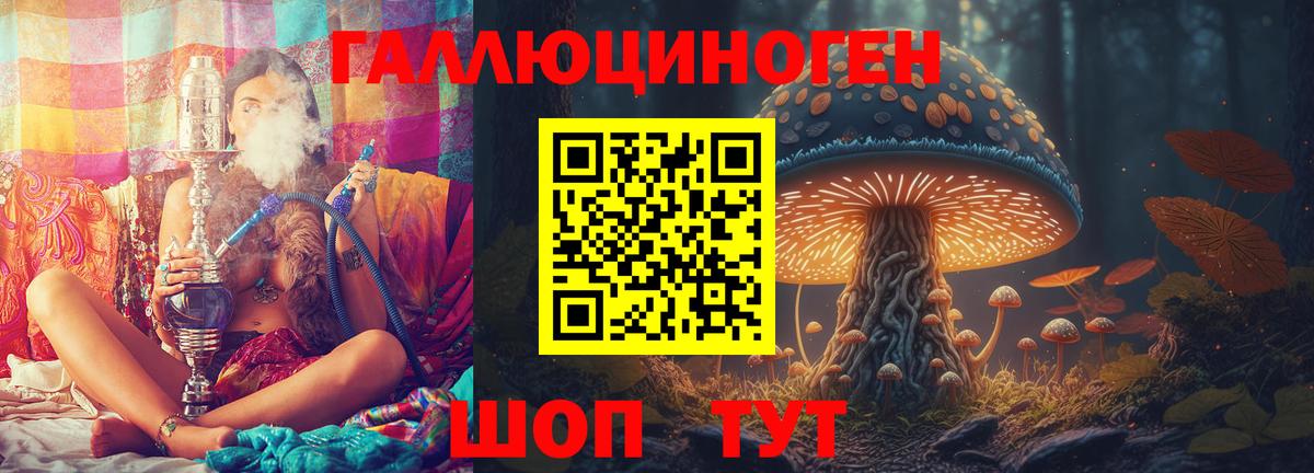 Скопин  Псилоцибиновые грибы Psilocybine cubensis  Вход с VPN 